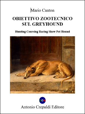 Obiettivo zootecnico sul Greyhound<br/><small>Hunting, coursing, racing, show, pet, hound</small>